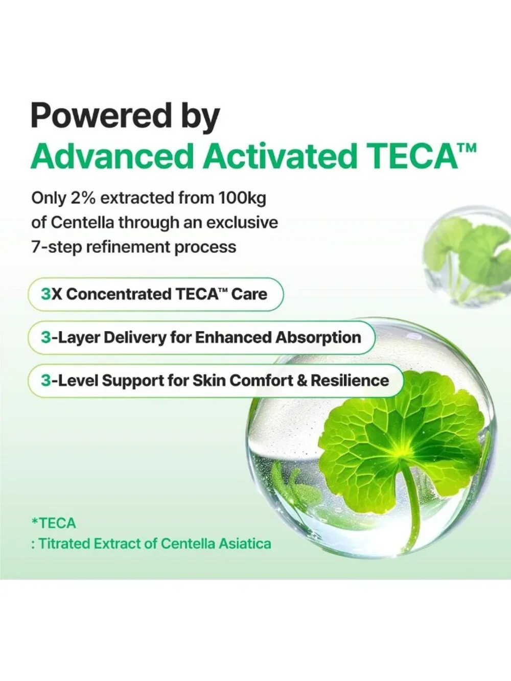 Firming Face Moisturizer with Centella Asiatica - Deep Hydration Anti-Aging